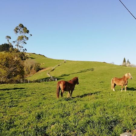 Agroturismo Pagoederraga Orio Exteriér fotografie