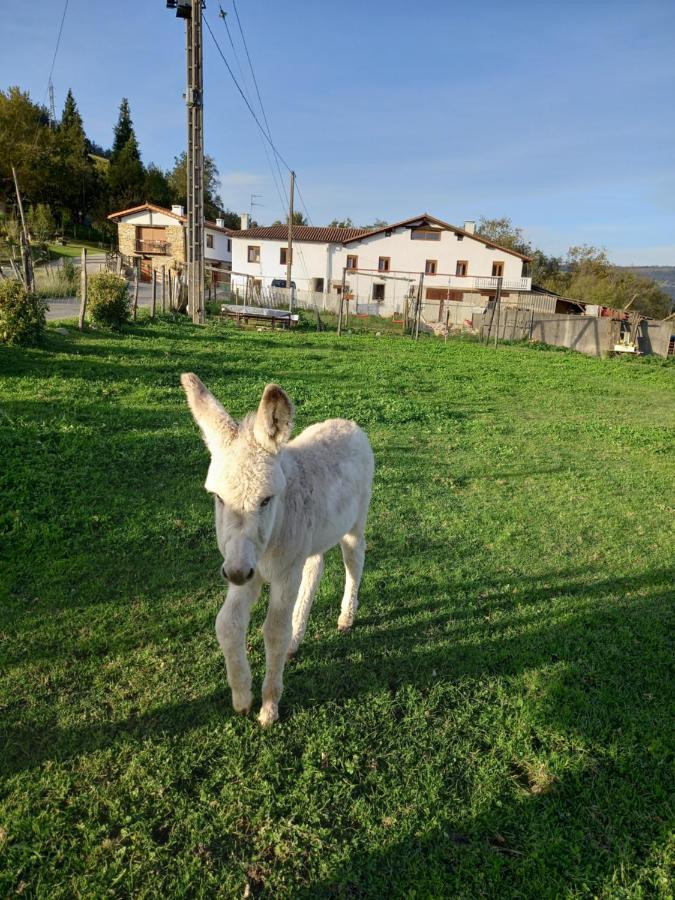 Agroturismo Pagoederraga Orio Exteriér fotografie