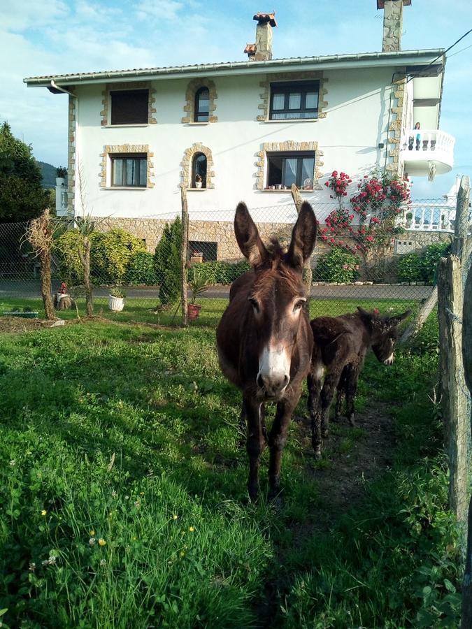 Agroturismo Pagoederraga Orio Exteriér fotografie