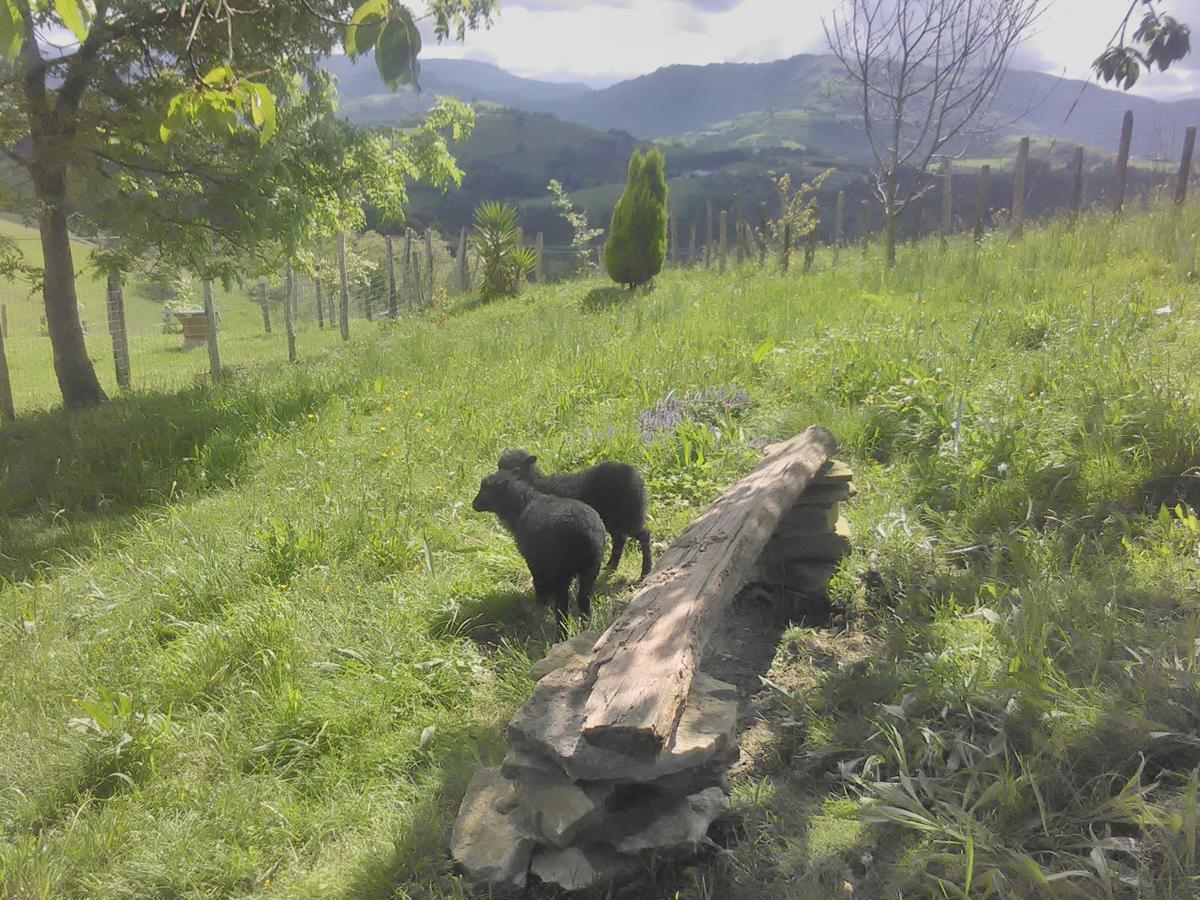 Agroturismo Pagoederraga Orio Exteriér fotografie