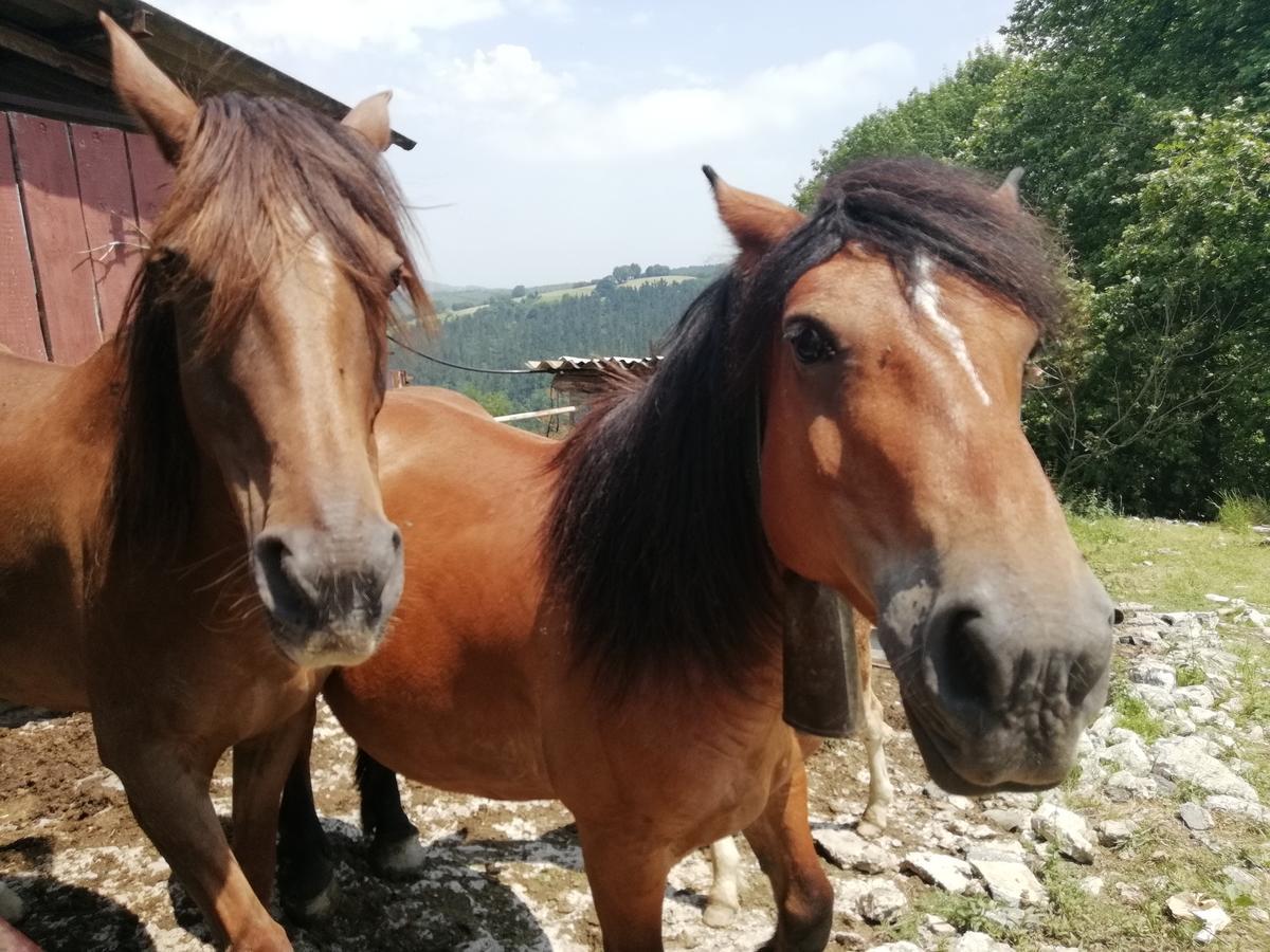 Agroturismo Pagoederraga Orio Exteriér fotografie
