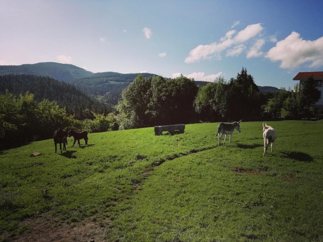 Agroturismo Pagoederraga Orio Exteriér fotografie