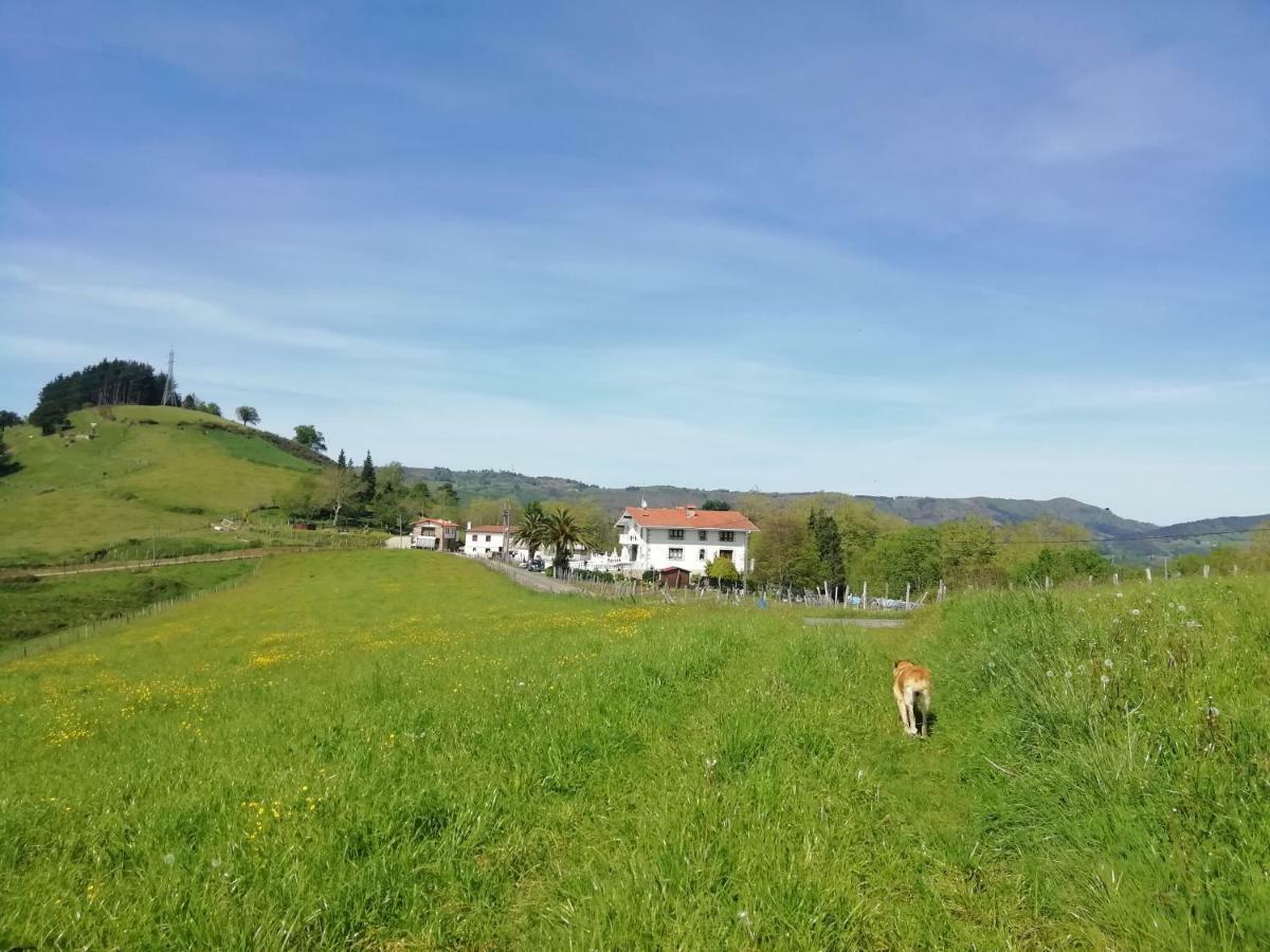 Agroturismo Pagoederraga Orio Exteriér fotografie